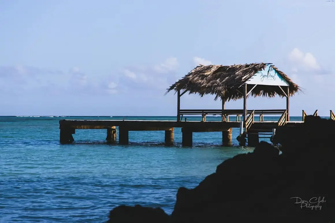 Remote Work, Tropical Vibes: Why Tobago Offers A Blend of Productivity and Pleasure