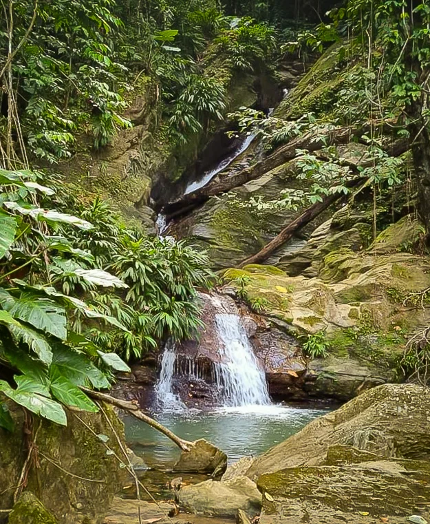 Best Hikes Near Crown Point Tobago